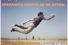 flynfall